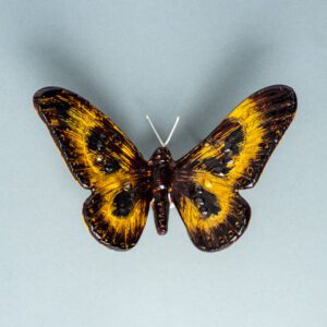 Gold & Black Butterfly Small