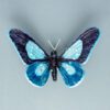 Blue Pattern Butterfly Small