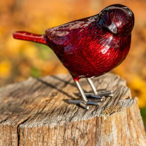 Brushed Red Bird