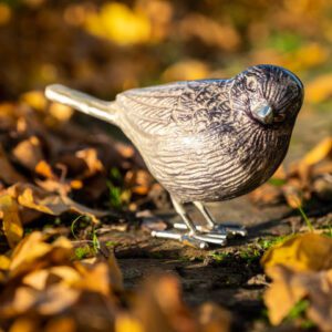 Brushed Silver Bird