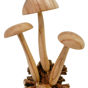 Wooden Frog on Three Mushrooms Parasite Wood