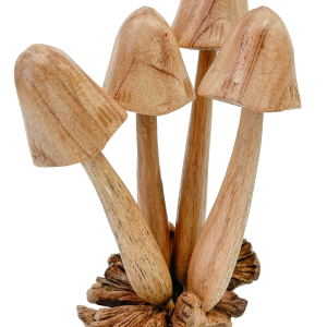 Mushrooms Toadstools Group of Four on Parasite Wood