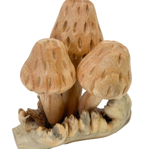 Wooden Morel Mushrooms Group of Three on Parasite Wood