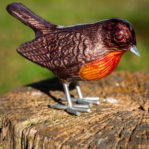 Brushed Brown Red Breast Robin