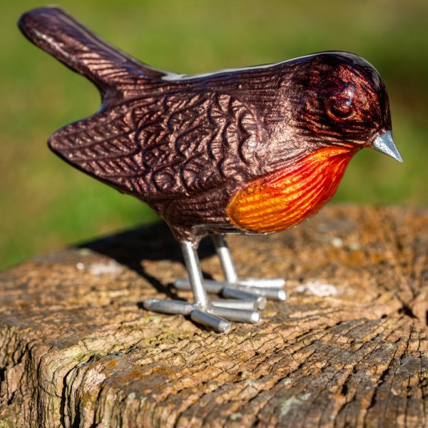 Brushed Brown Red Breast Robin