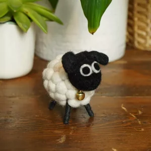 Mini Tessa Sheep