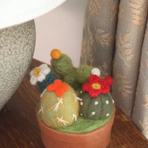 Cactus Pot