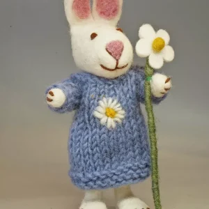 Daisy The Rabbit