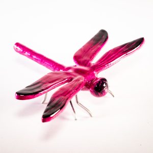 Brushed Pink  Dragonfly Large