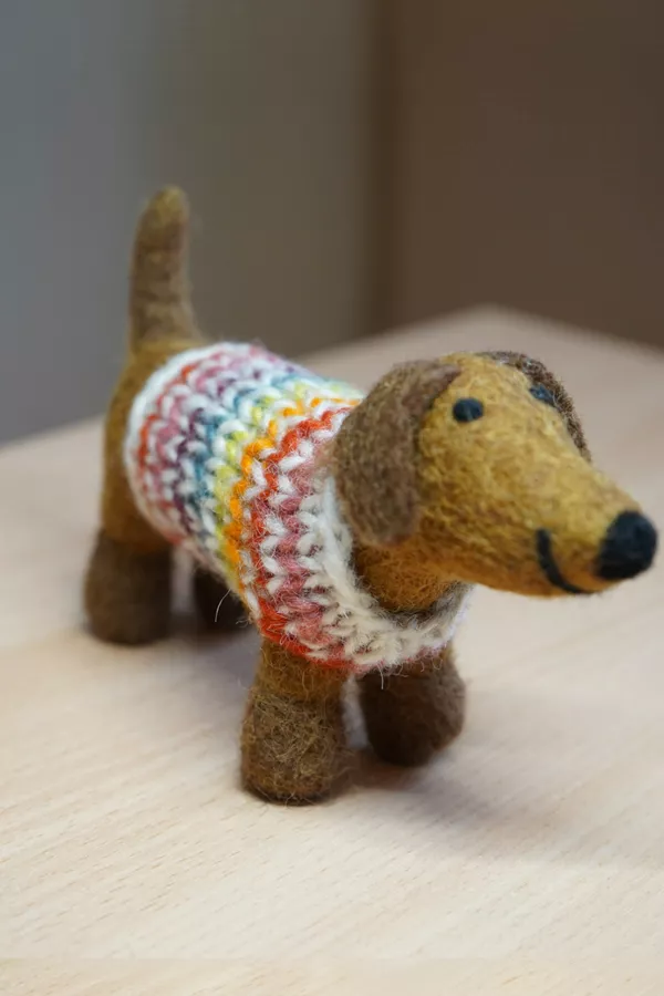 Harry The Dachshund - Image 3