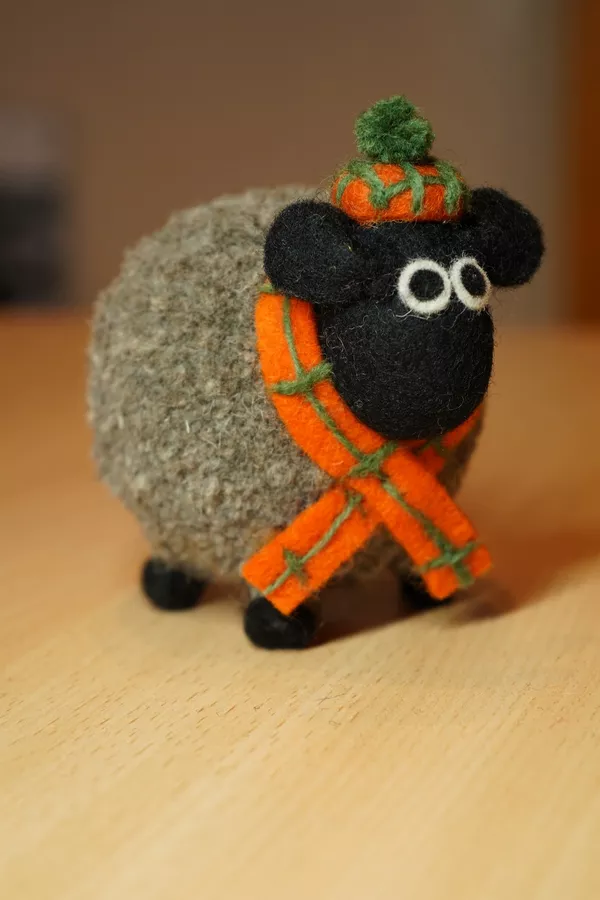 Douglas The Highland Sheep - Image 2