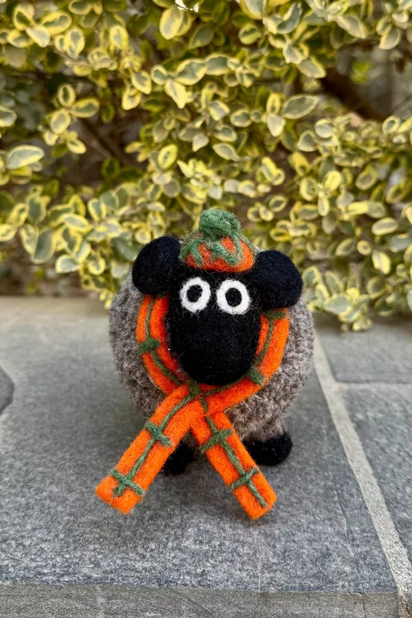 Douglas The Highland Sheep - Image 3