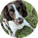 Sara Beck profile picture