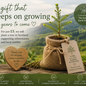 Plant a Tree in Scotland. A Sustainable Gift That Keeps Growing.