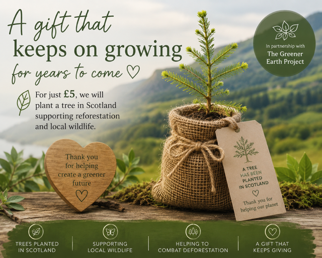 Plant a Tree in Scotland. A Sustainable Gift That Keeps Growing.